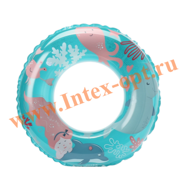   Intex 61  (59242), 6-10 