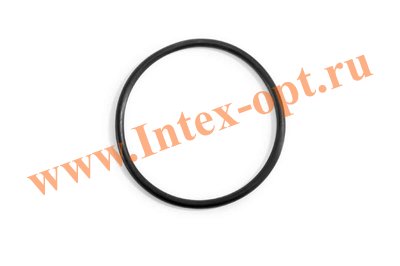INTEX 11440     