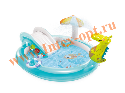    Intex 57165    20117084 