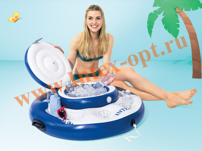      Intex Mega Chill 56822