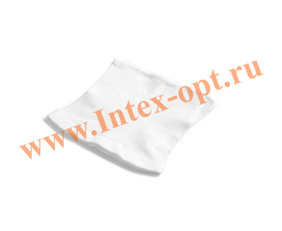  -  (13253)    Intex ZR100, ZR200