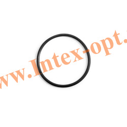 INTEX 11440     