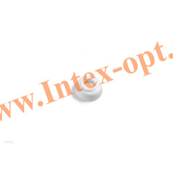 INTEX 10648    