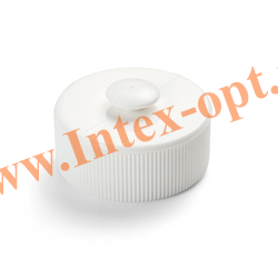 INTEX 10649       Intex    .