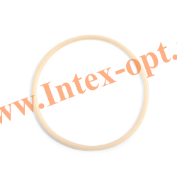   10325    -  Intex   ""