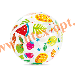   51 , Intex 59040